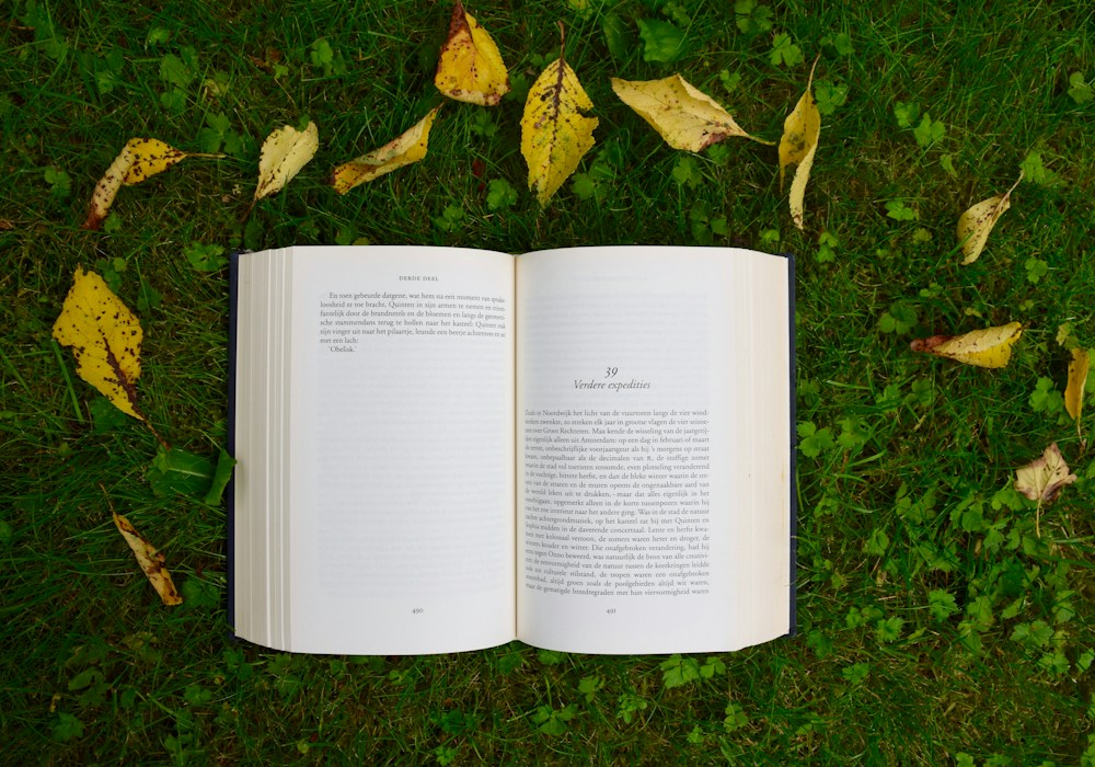 Book Formatting Proof